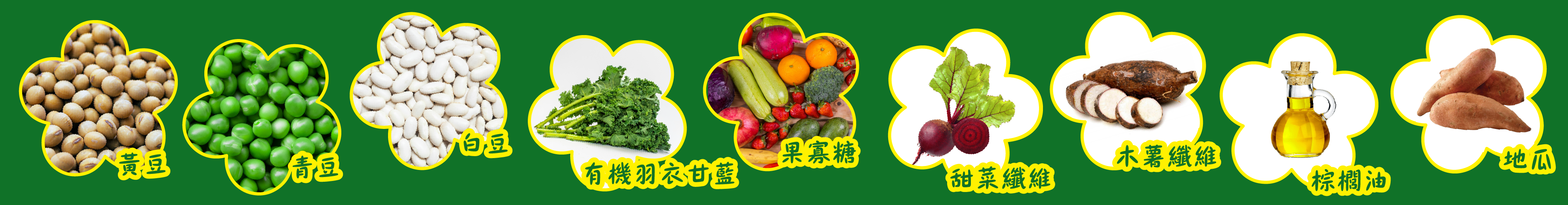 嚴選食材