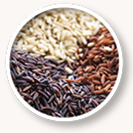 糙米(Brown Rice)